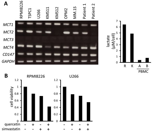fig1a