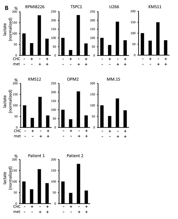 fig2b