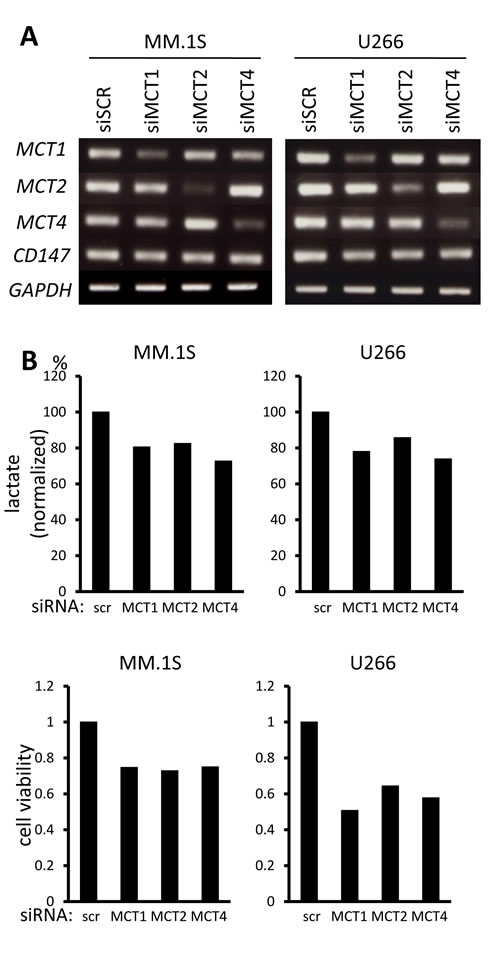 fig3a