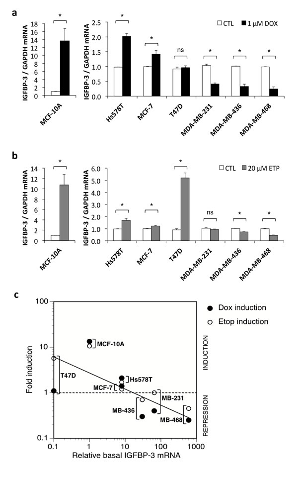 fig2