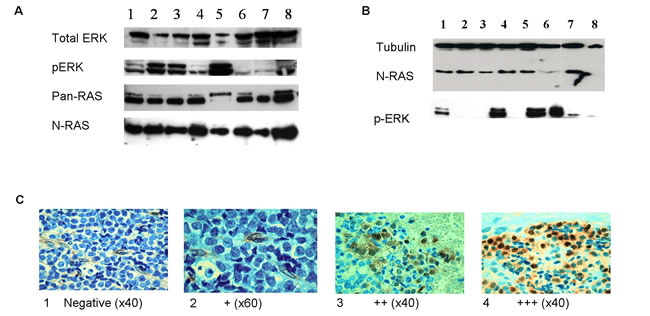 fig2