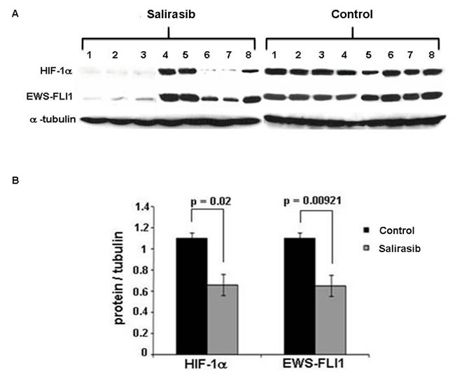 fig9