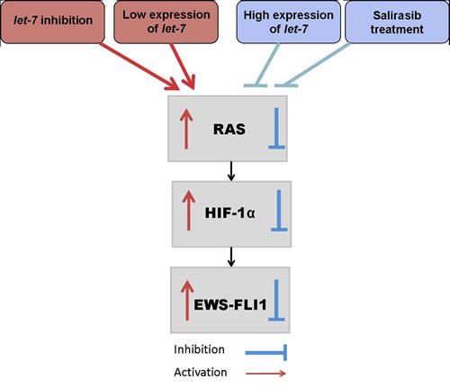 fig10